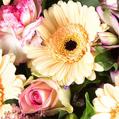 Florist's Choice Sheaf